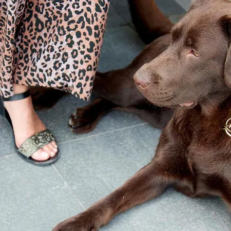 佐纳尔酒店 酒店 诺德韦克