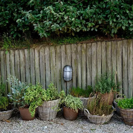 酒店 佐纳尔酒店 3*