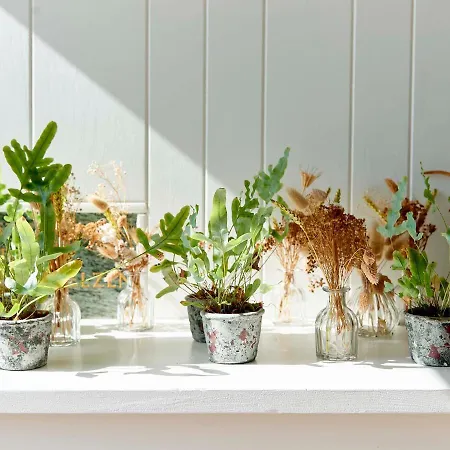 佐纳尔酒店 酒店 诺德韦克