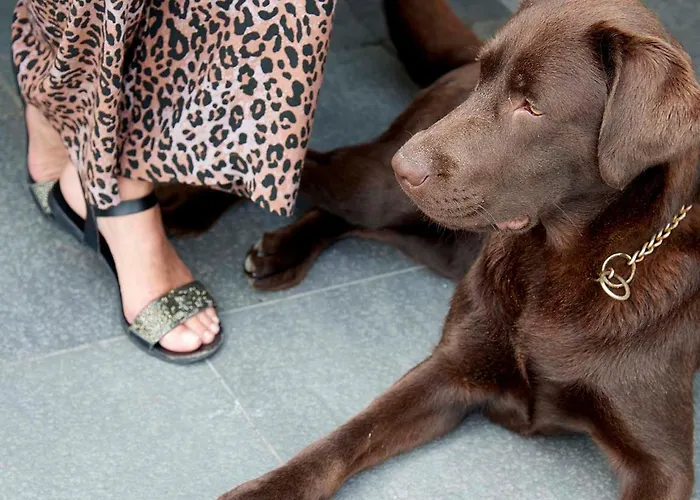 Zonne Hotel Noordwijk