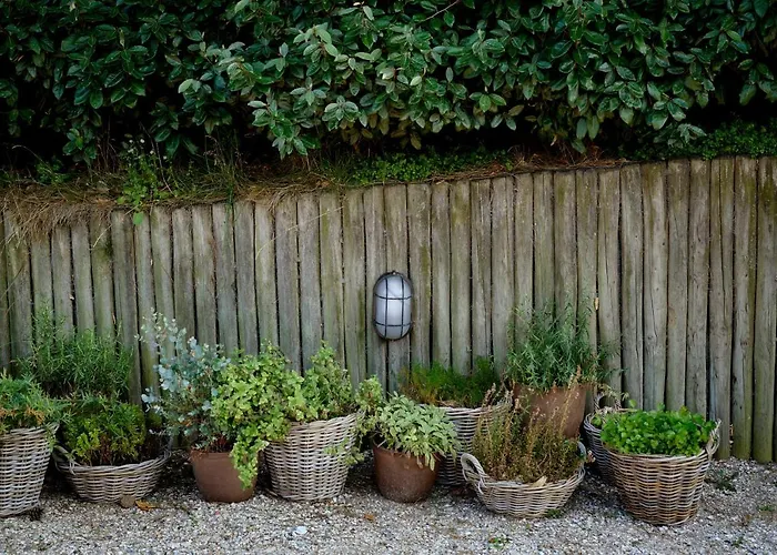 ホテル ゾンネ 3*