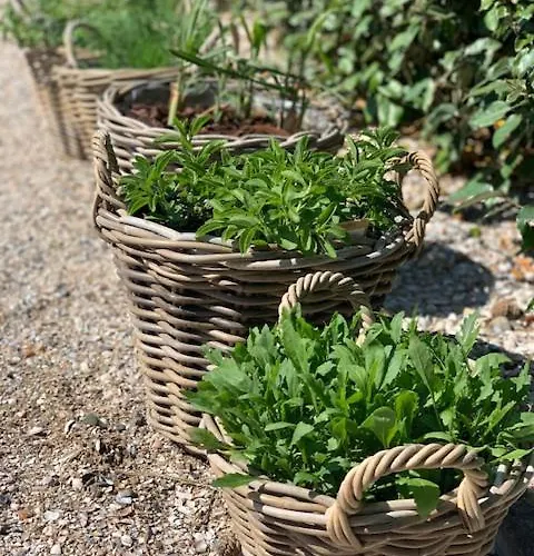 ゾンネ 3* ノールトウェイク