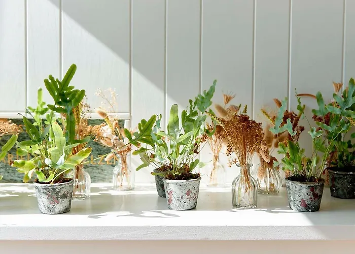 Zonne Hotel Noordwijk